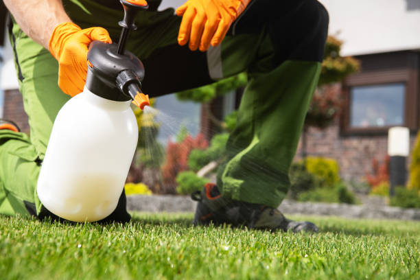 Best Affordable Pest Control Services  in Lake Fenton, MI