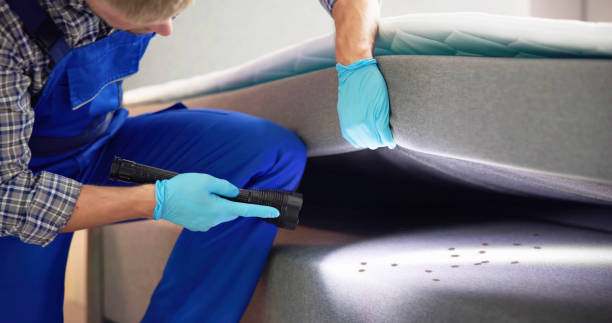 Best Termite Control Services  in Lake Fenton, MI
