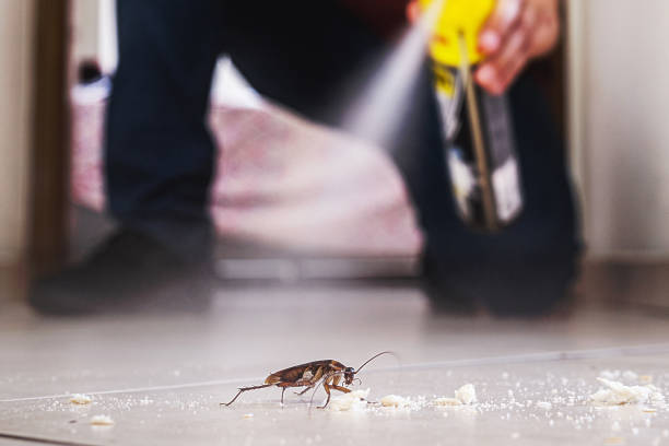 Best Mosquito Control Services  in Lake Fenton, MI